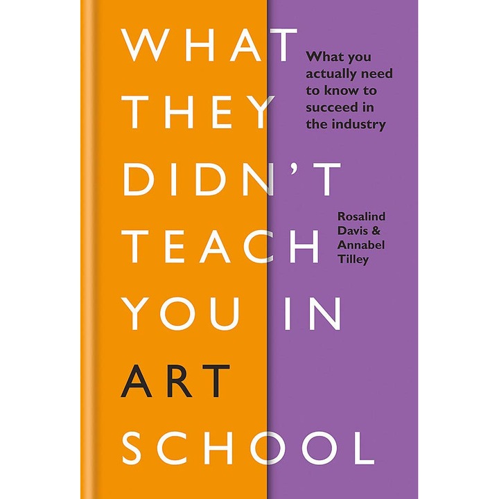 What They Didn't Teach You in Art School - Rosalind Davis,Annabel Tilley