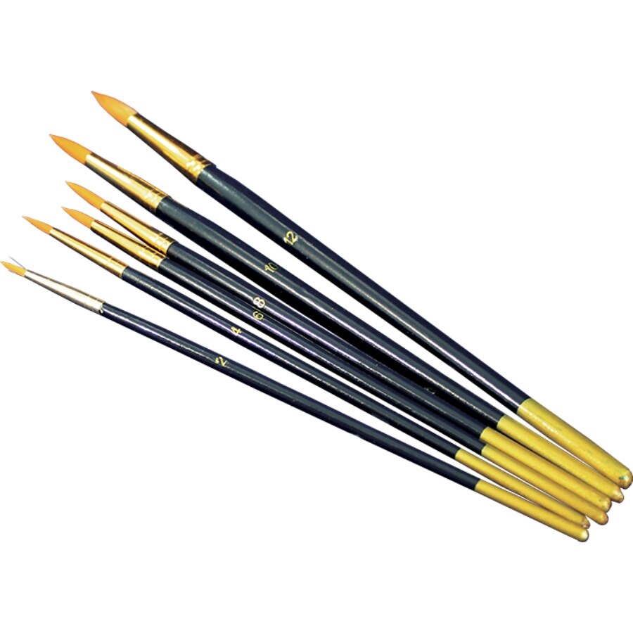 Set 6 pensule cu varf ascutit