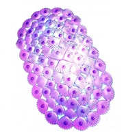 Covor cada semitransparenta, anti-alunecare forma scoici, 30 x 64cm