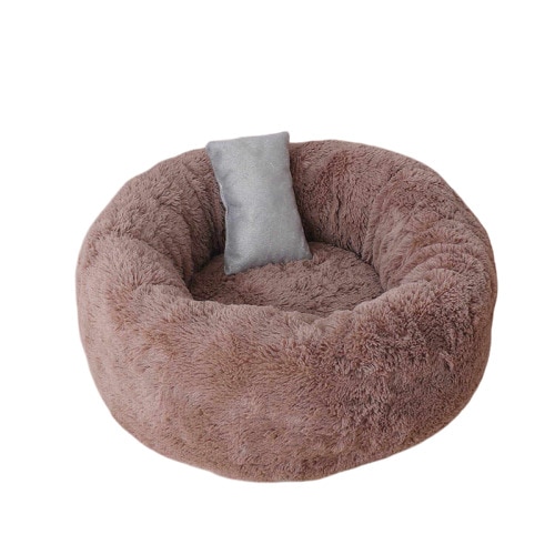 Perna pentru pisici si caini ,60/60/20, maro