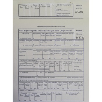 Foi parcurs marfa inseriate A4 100 file Foi parcurs marfa inseriate A4 100 file