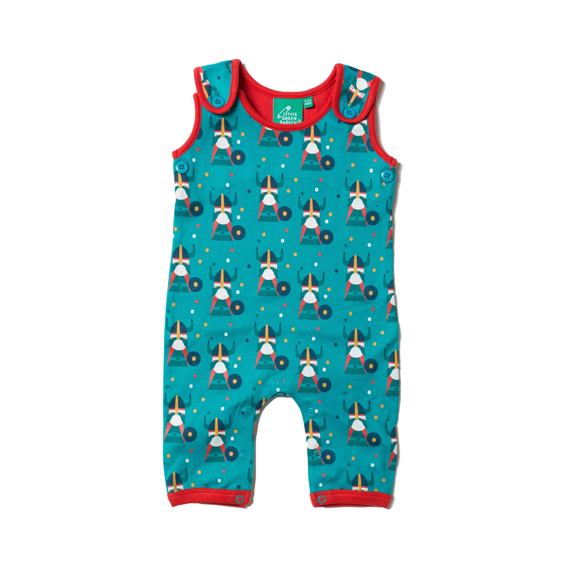 Costumas ˝Vikingii curajosi