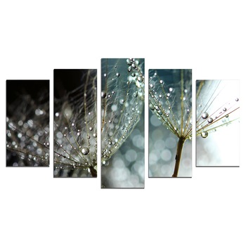 Set Tablouri Multicanvas 5 Piese, dandelions,158х90 cm Set Tablouri Multicanvas 5 Piese, dandelions,158х90 cm