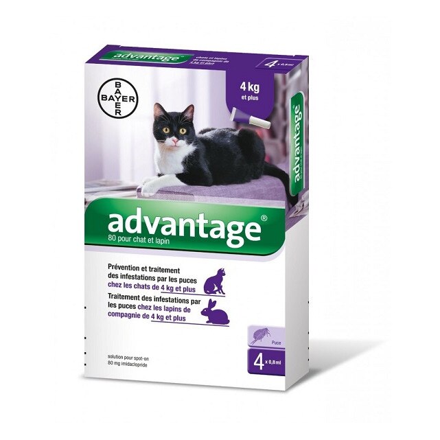 Solutie Antiparazitara, Advantage 4-8 kg, Cat/Rabbit, 1 pipeta