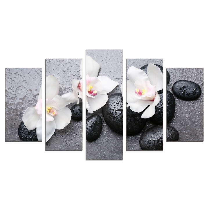 Set Tablouri Multicanvas 5 Piese, Compozitie Zen cu orhidee si pietre, 108х60 cm