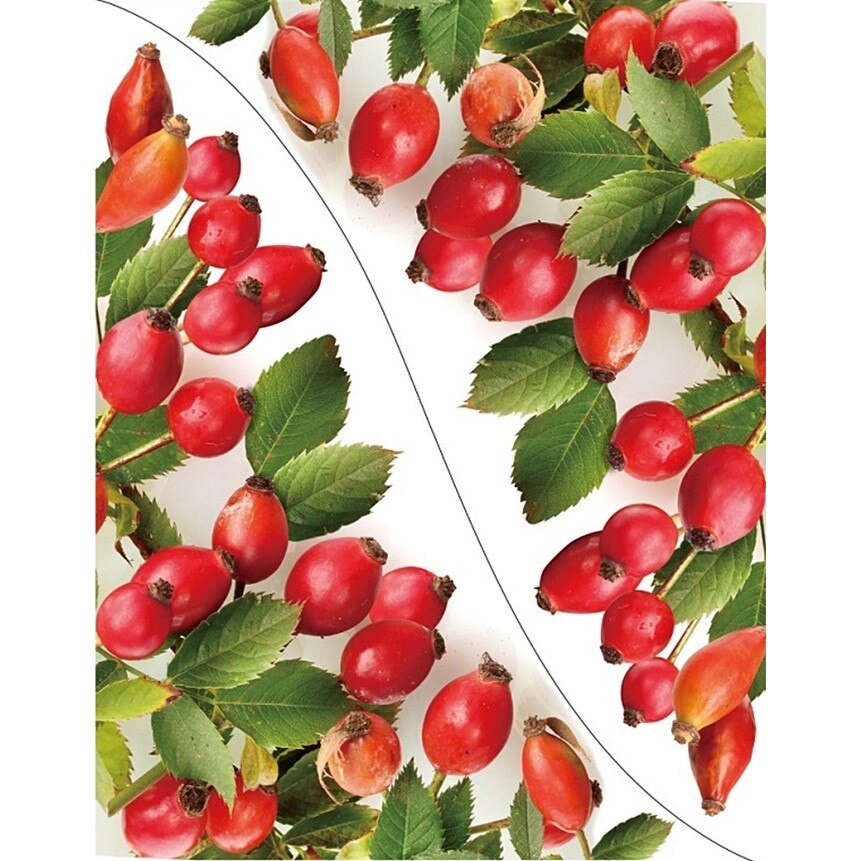 Sticker pentru colt de geam - maciese, 30 x 42 cm