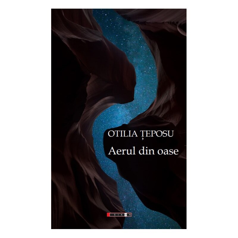 Aerul din oase - Otilia Teposu