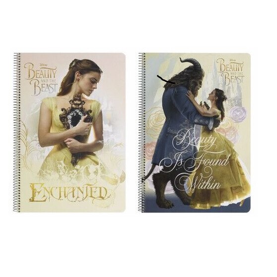 Caiet A4 matematica Frumoasa si Bestia 80 file Multicolor