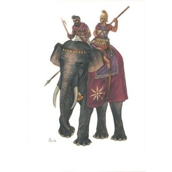 Set Figurine Cavaleri HaT Macedonian Elephant 2buc 1:72 HAT 8141 Set Figurine Cavaleri HaT Macedonian Elephant 2buc 1:72 HAT 8141