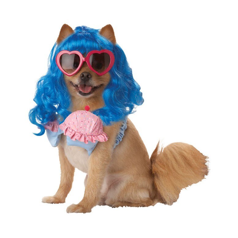 Costume catei California Girl S
