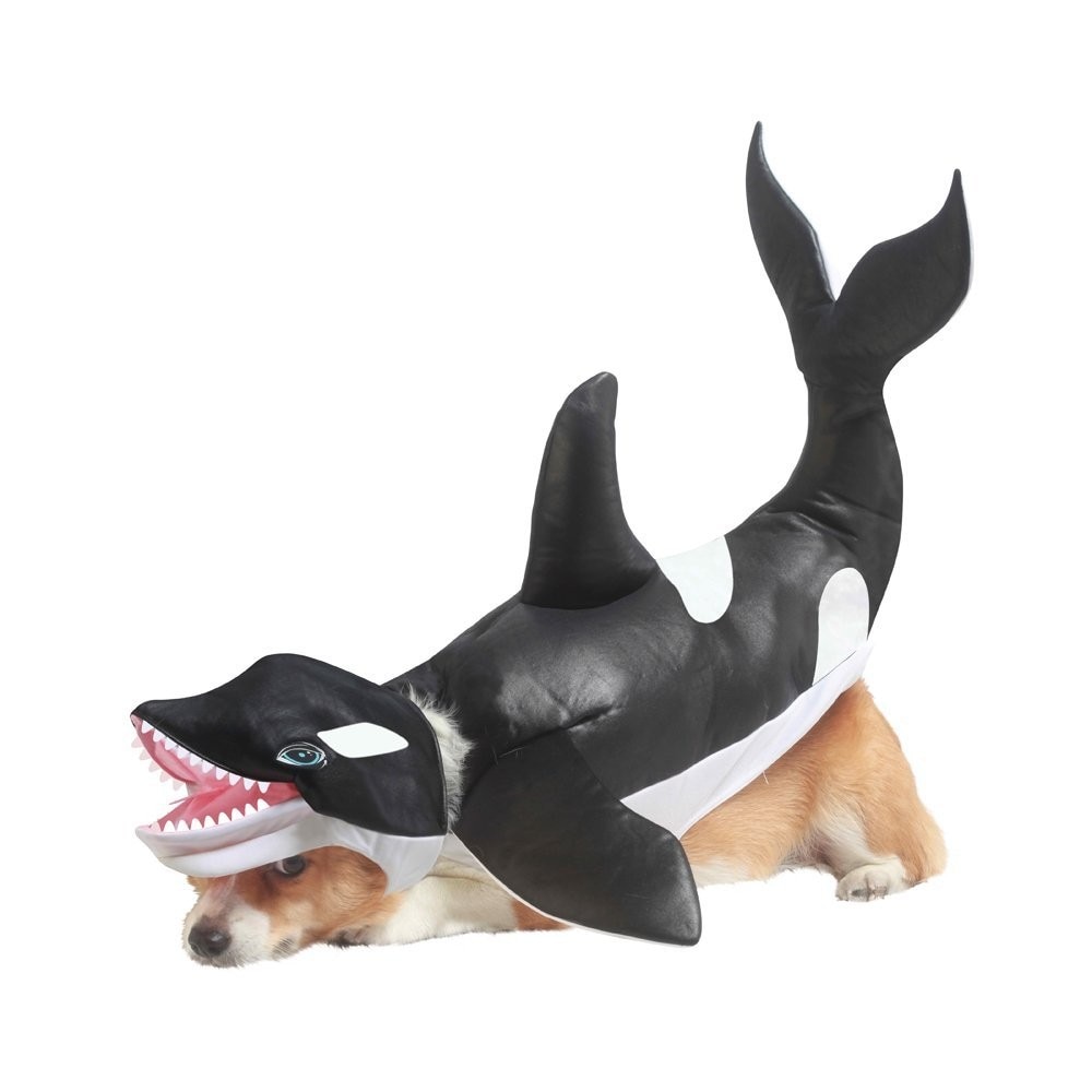 Costume catei Delfin XS