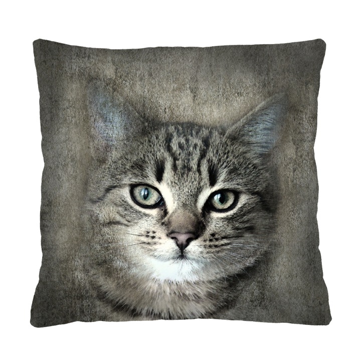 Perna Bertoni, imprimeu pisica, 40 X 40 cm, Gri