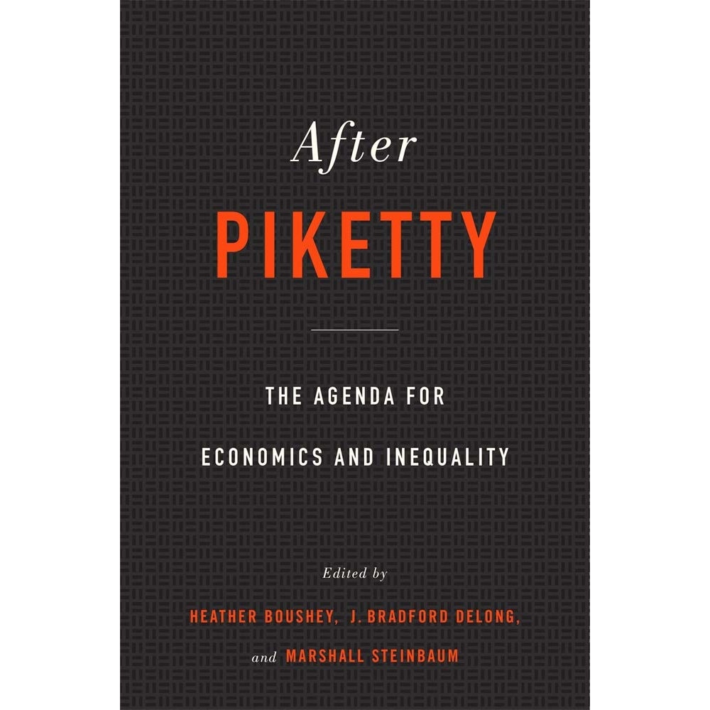After Piketty - Heather Boushey,J. Bradford Delong,Marshall Steinbaum
