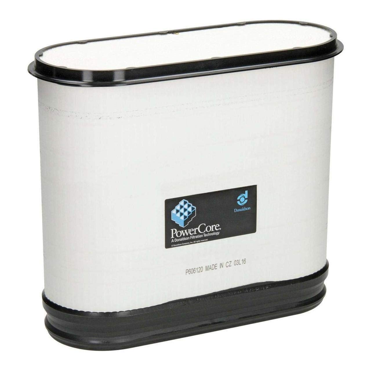 Filtru aer P606120 Donaldson