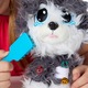 Jucarie de plus Catel Husky, Rescue Runts