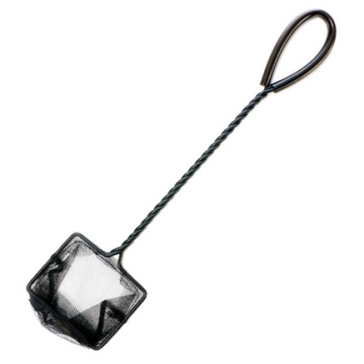 Minciog pesti acvariu negru 8 cm