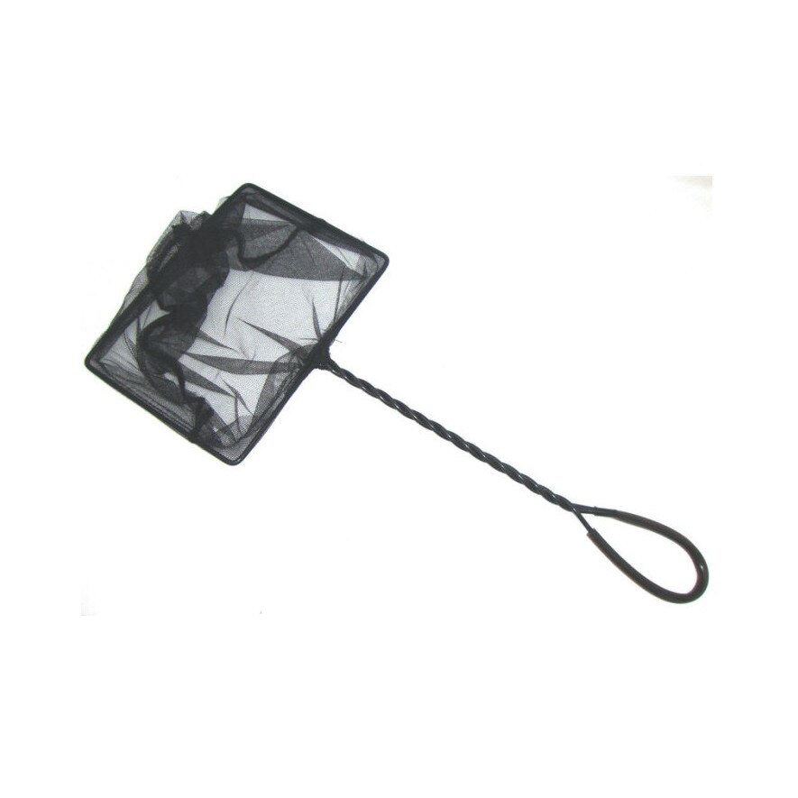 Minciog pesti acvariu negru 12 cm