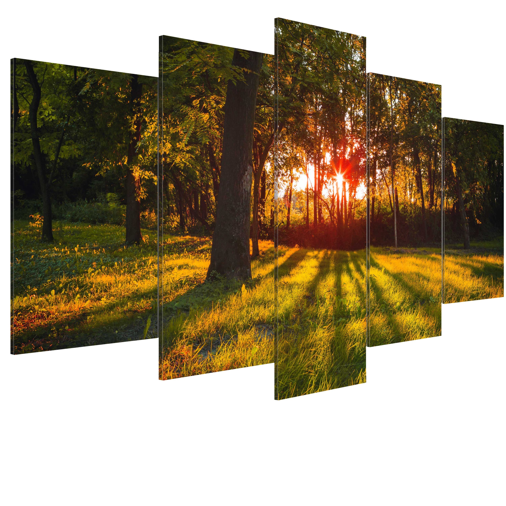 Tablou canvas 5 piese - La umbra padurii - 100 x 50 cm