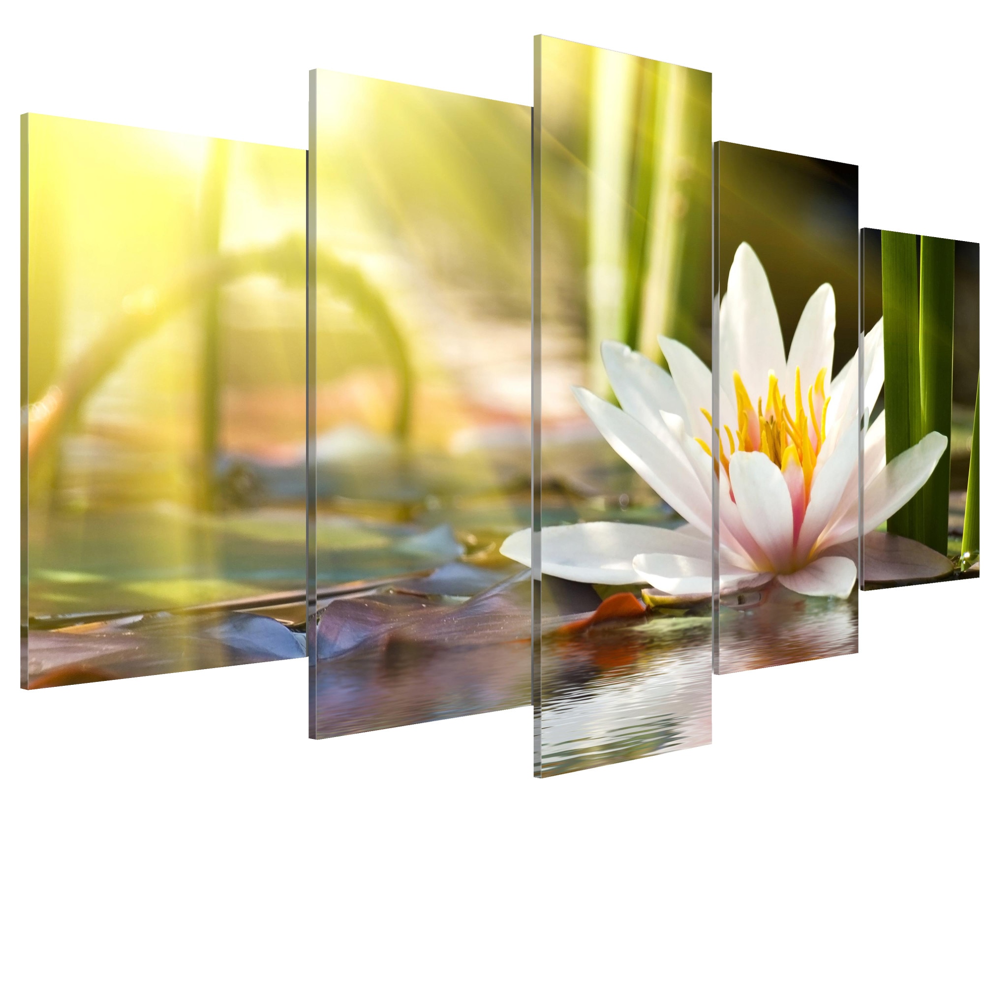 Tablou canvas 5 piese - Lotus Insorit - 200 x 100 cm