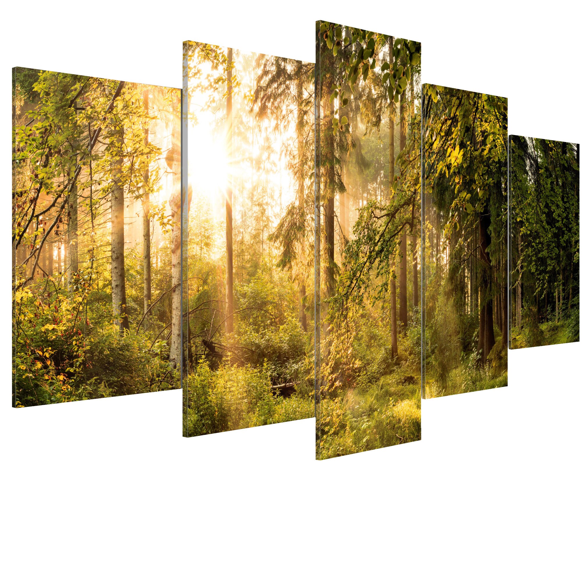 Tablou canvas 5 piese - Magia padurii - 200 x 100 cm