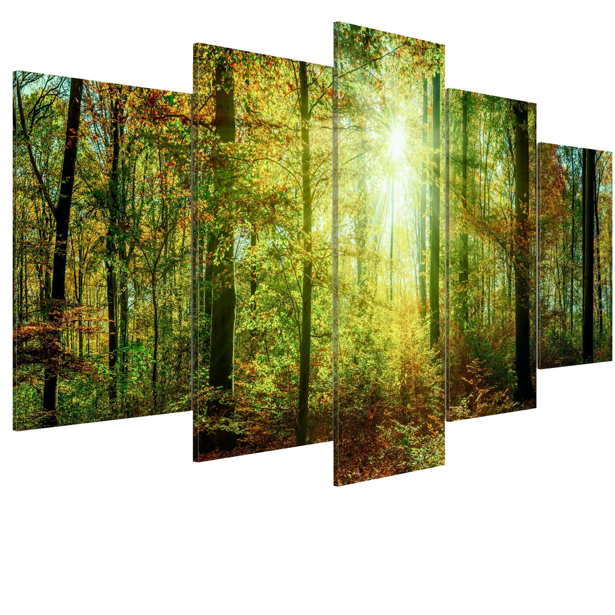 Tablou canvas 5 piese - Padure salbatica - 100 x 50 cm