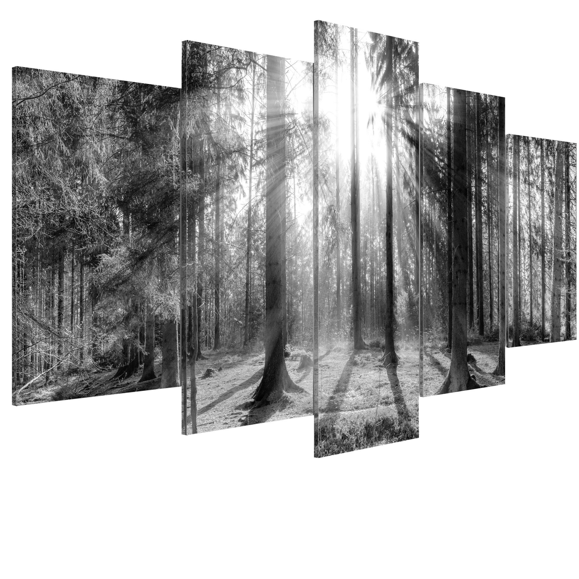 Tablou canvas 5 piese - Padurea amintirilor - 200 x 100 cm