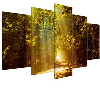 Tablou canvas 5 piese - Padure In lumina soarelui - 100 x 50 cm