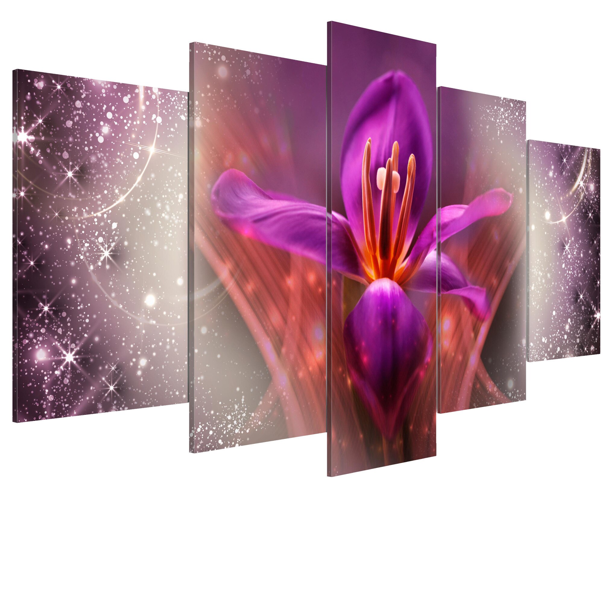 Tablou canvas 5 piese - Printre stele - 200 x 100 cm