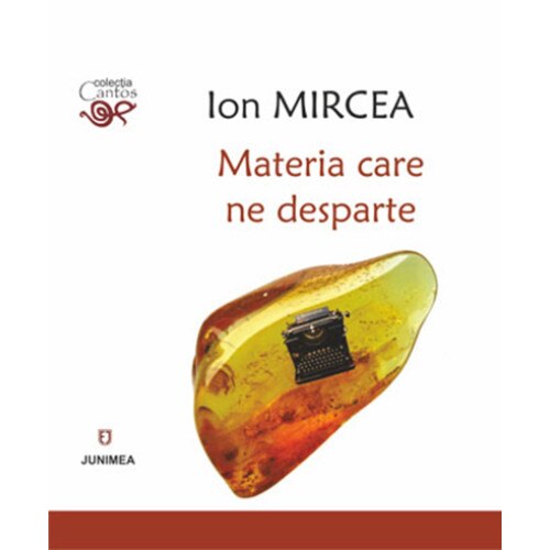 Materia care ne desparte - Ion Mircea
