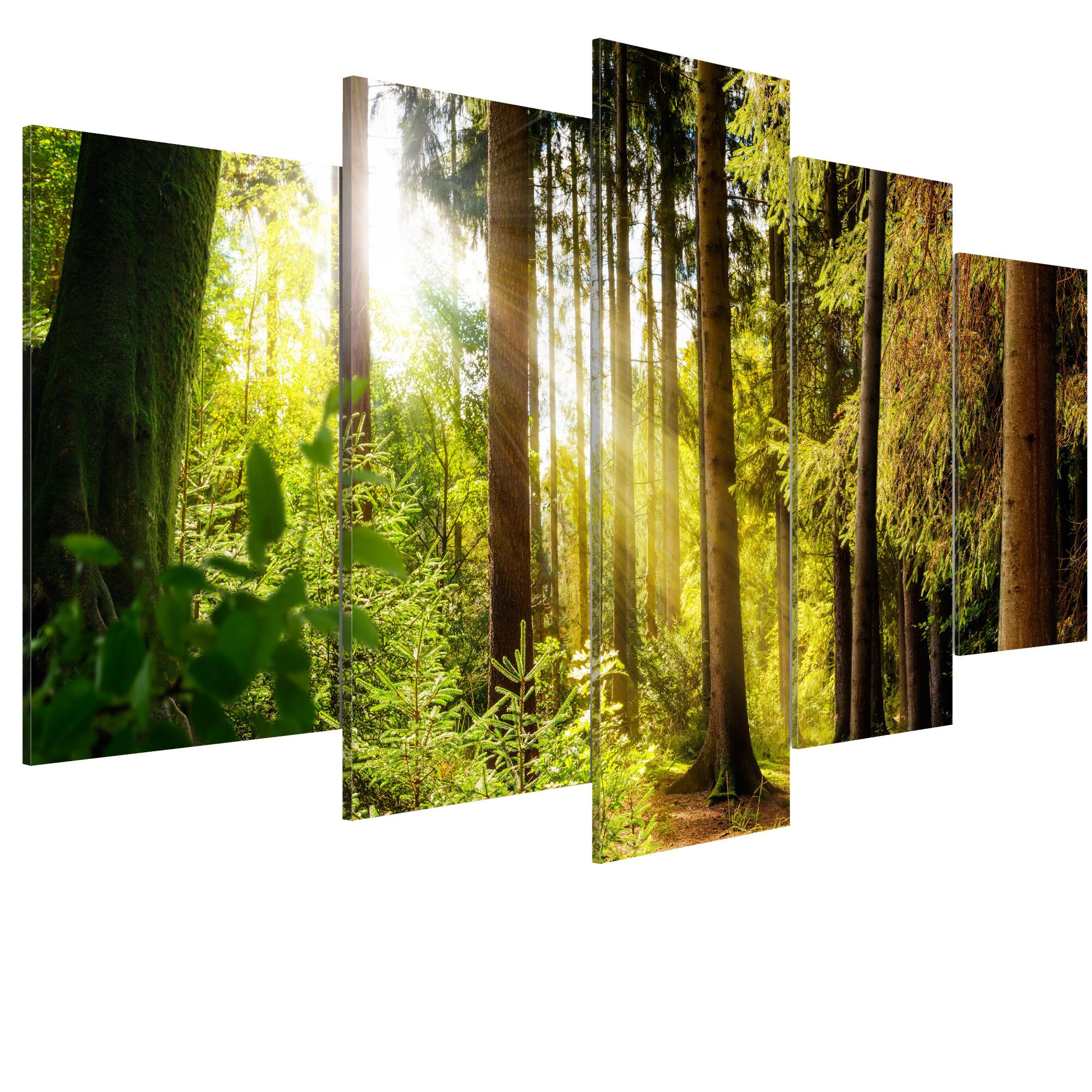 Tablou canvas 5 piese - Cantecul diminetii - 100 x 50 cm