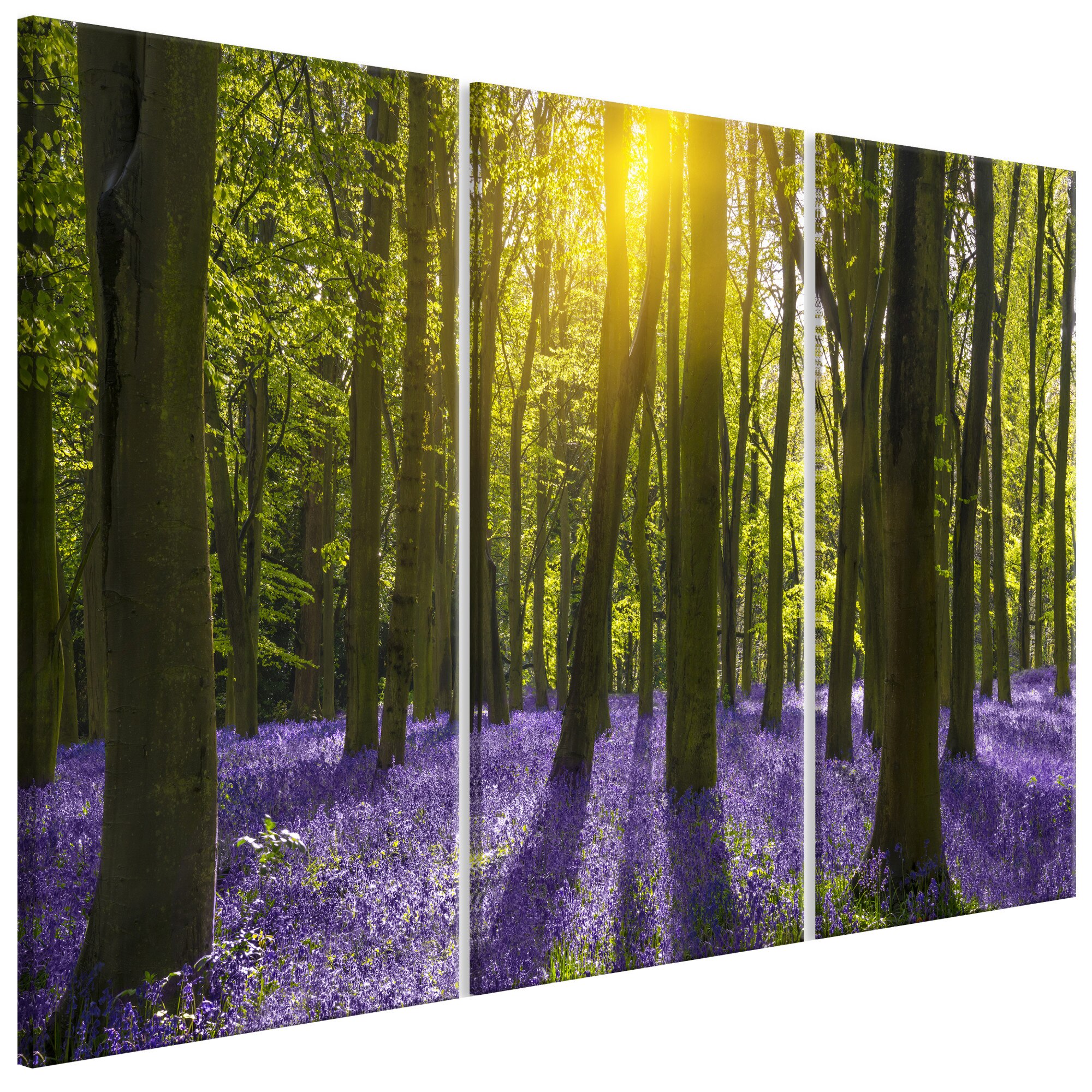 Tablou canvas 3 piese - Campul de zambile - 90 x 60 cm