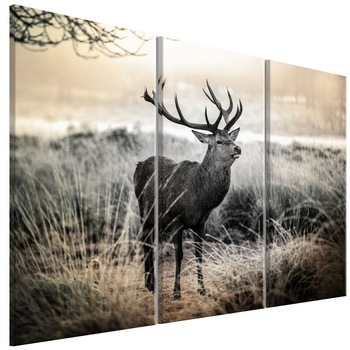 Tablou canvas 3 piese - Coarne periculoase I - 90 x 60 cm Tablou canvas 3 piese - Coarne periculoase I - 90 x 60 cm