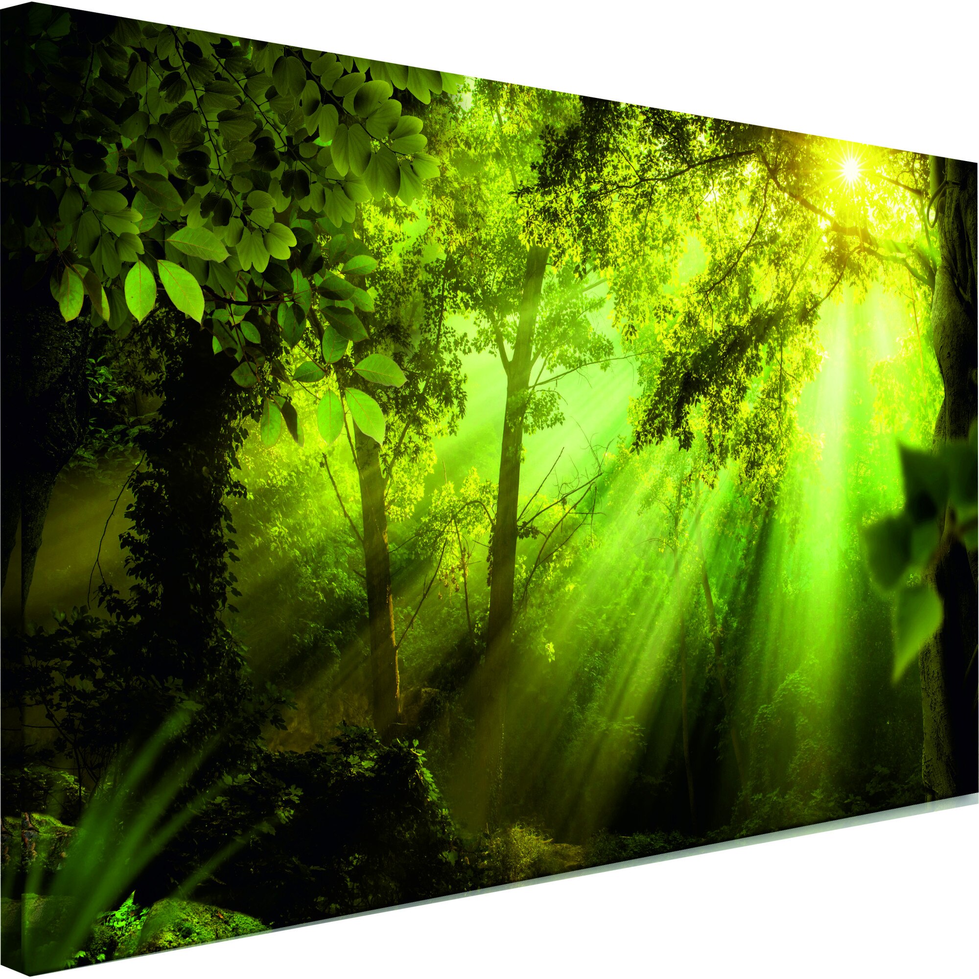 Tablou canvas - In Soarele Ingust - 150 x 50 cm