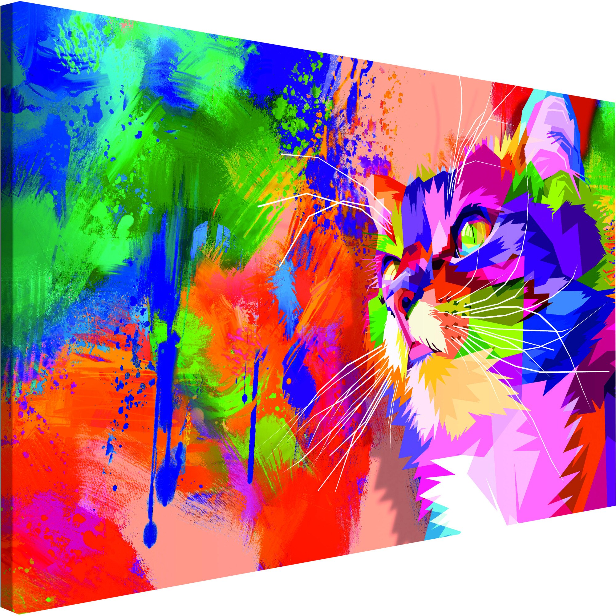 Tablou canvas - Cat colorat larg - 120 x 80 cm
