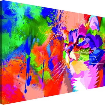 Tablou canvas - Cat colorat larg - 120 x 80 cm Tablou canvas - Cat colorat larg - 120 x 80 cm