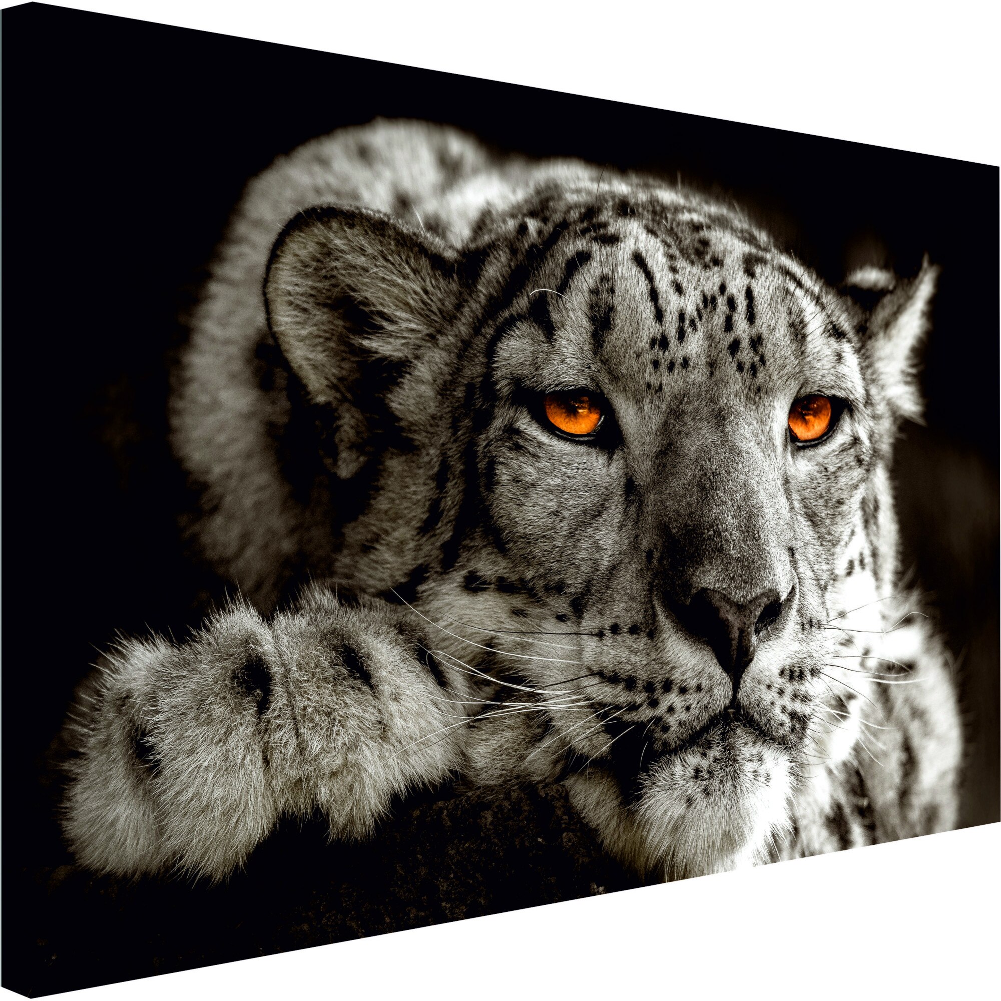 Tablou canvas - Magic Eyes Wide - 90 x 60 cm