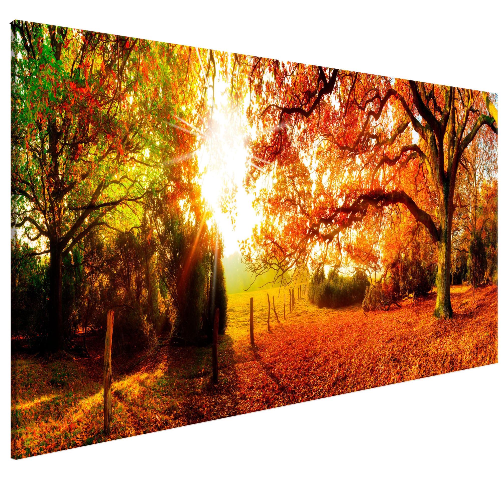 Tablou canvas - Magia Toamnei - 135 x 45 cm