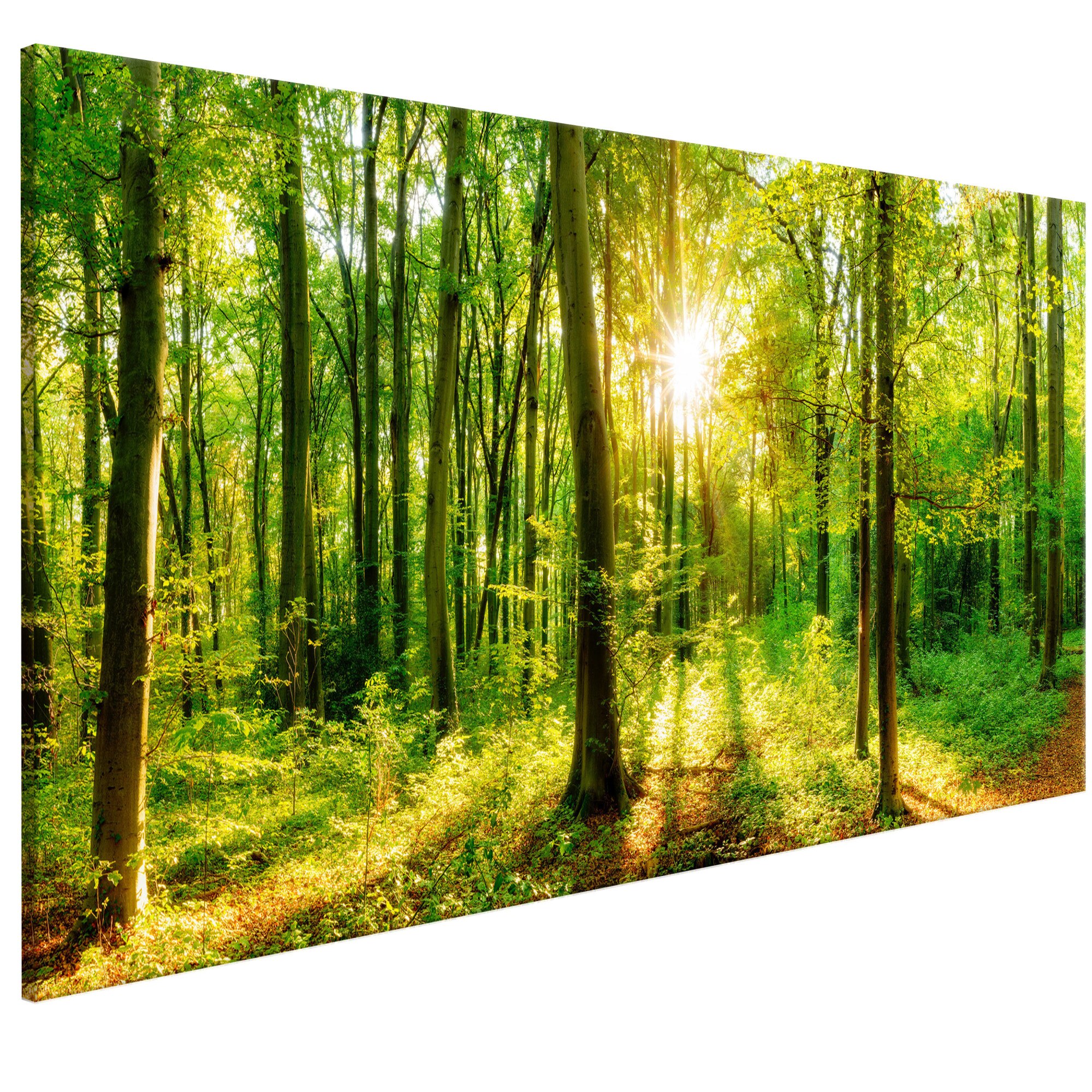 Tablou canvas - Magia verde - 135 x 45 cm