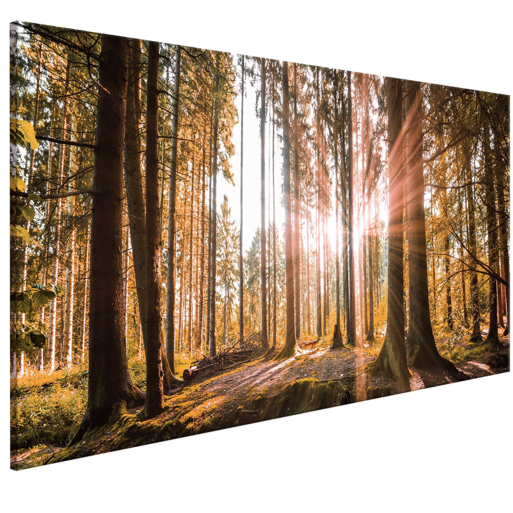 Tablou canvas - Mici minuni naturale - 120 x 40 cm