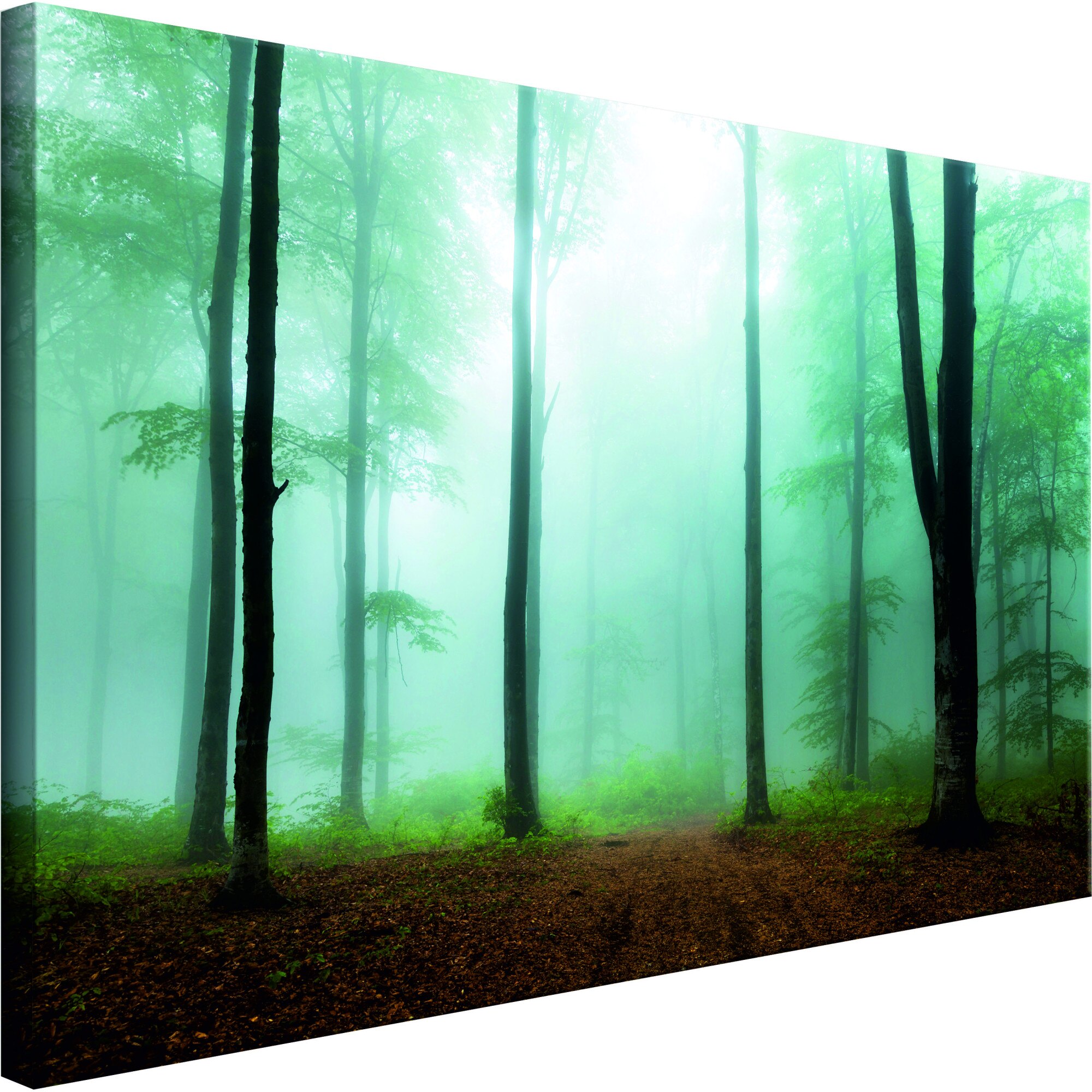 Tablou canvas - Misty Morning Wide - 120 x 60 cm