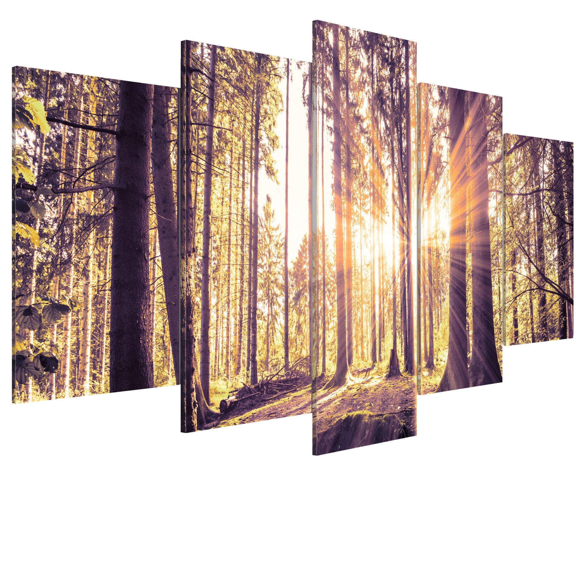 Tablou canvas 5 piese - Dimineata Idila - 100 x 50 cm