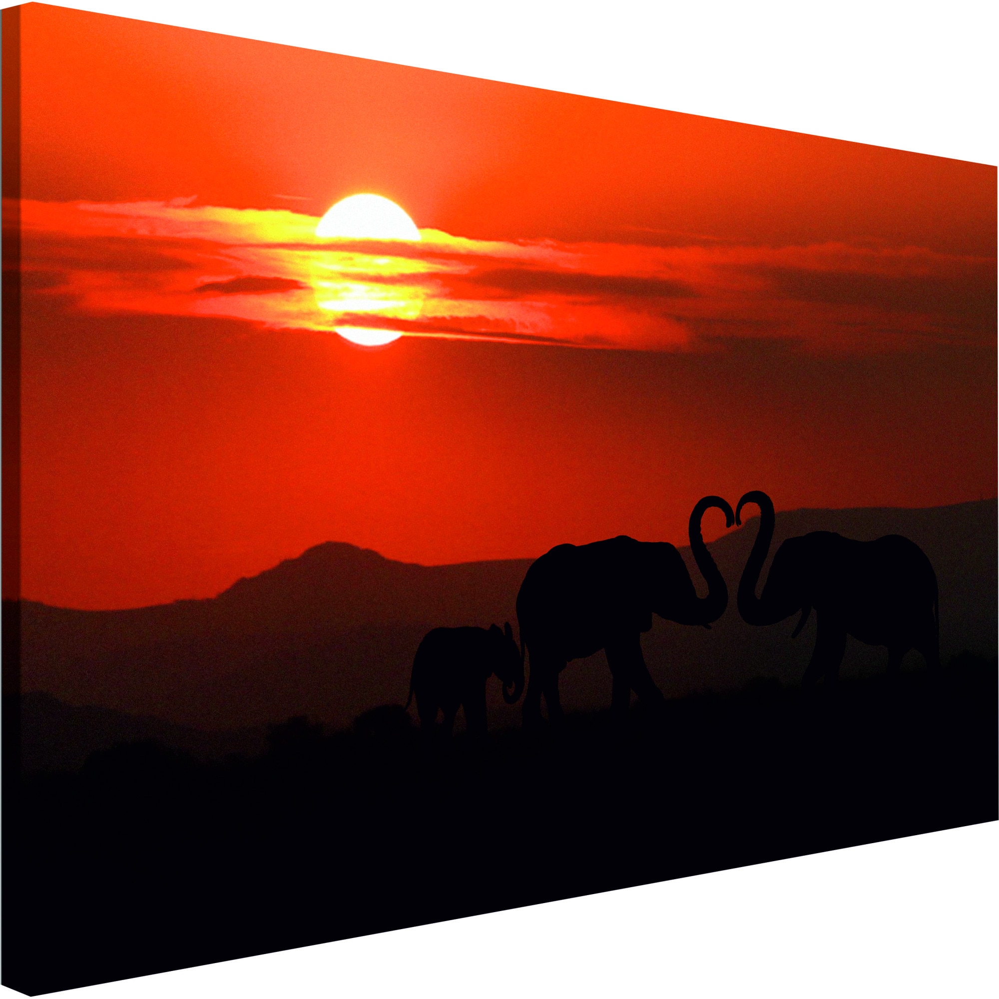 Tablou canvas - Elefanti In Love Wide - 60 x 40 cm
