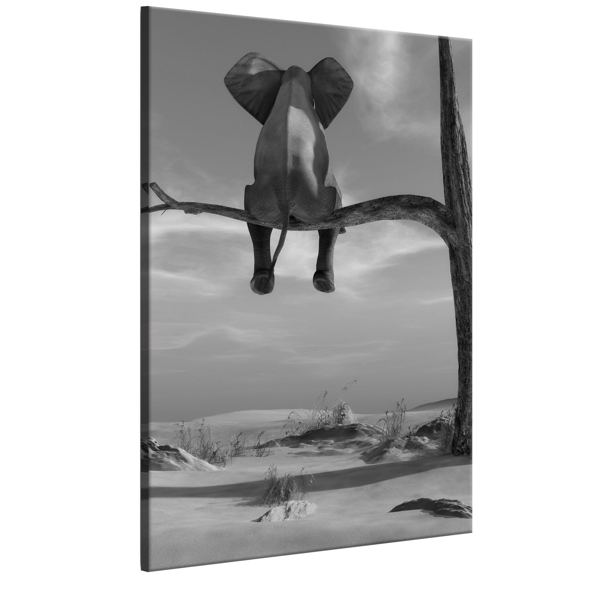 Tablou canvas - Elefantul In repaus - 80 x 120 cm