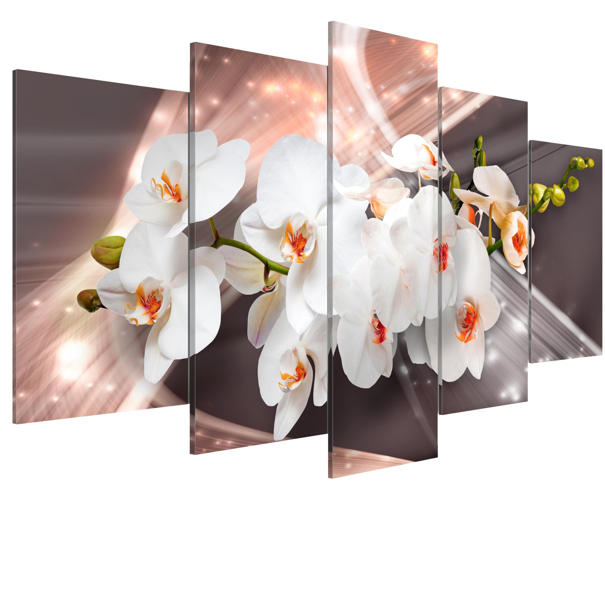 Tablou canvas 5 piese - Ecoul frumusetii - 100 x 50 cm