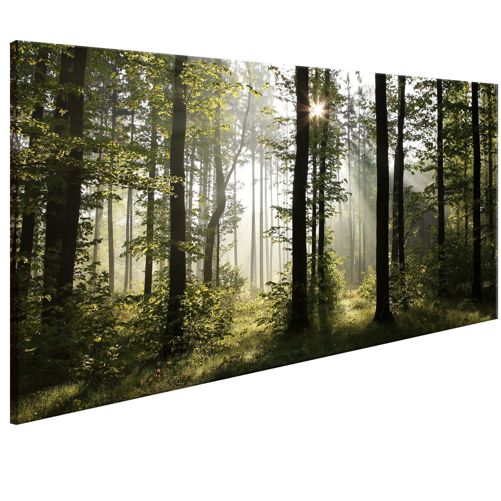 Tablou canvas - Dimineata frumoasa - 70 x 35 cm