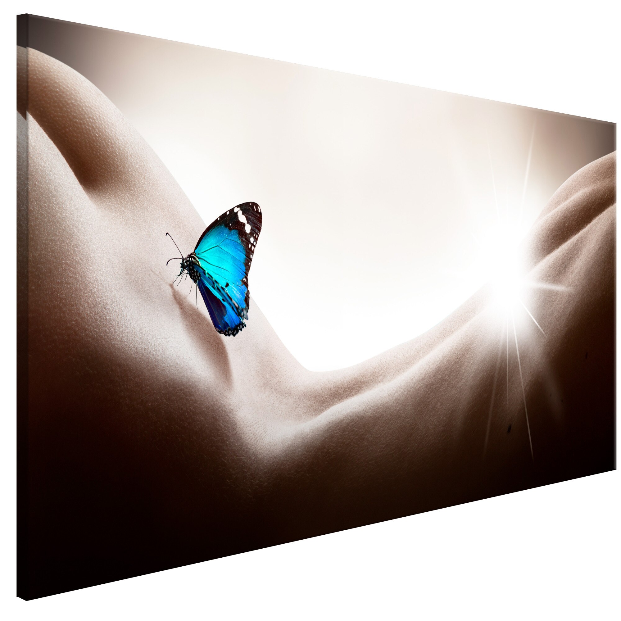 Tablou canvas - Femeie Si fluture Inguste - 135 x 45 cm