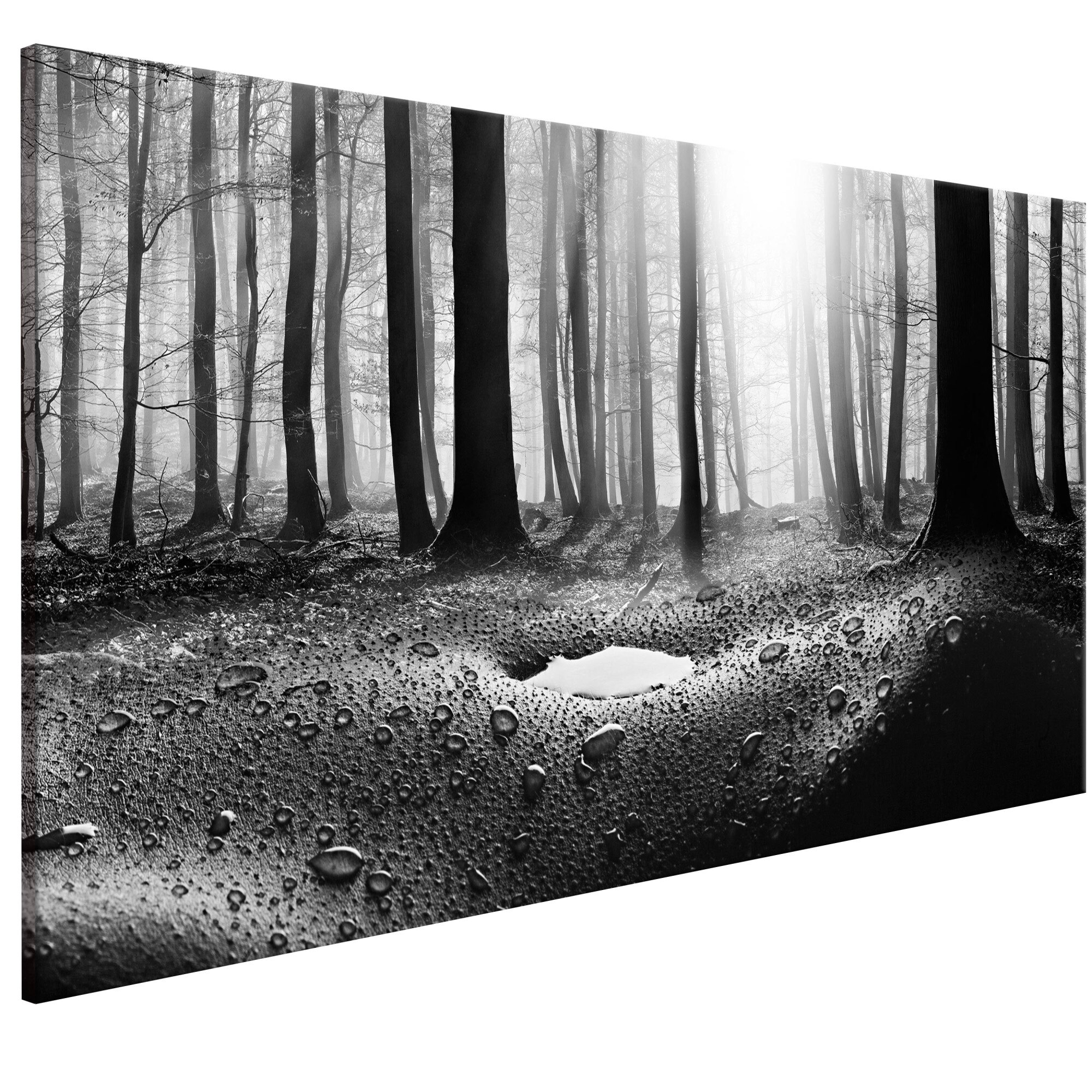 Tablou canvas - Padure dupa ploaie Ingusta - 120 x 40 cm