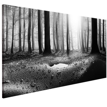 Tablou canvas - Padure dupa ploaie Ingusta - 120 x 40 cm Tablou canvas - Padure dupa ploaie Ingusta - 120 x 40 cm