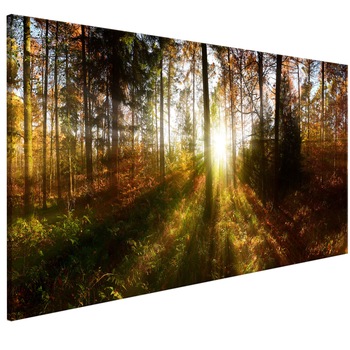 Tablou canvas - Padurea frumoasa - 135 x 45 cm Tablou canvas - Padurea frumoasa - 135 x 45 cm
