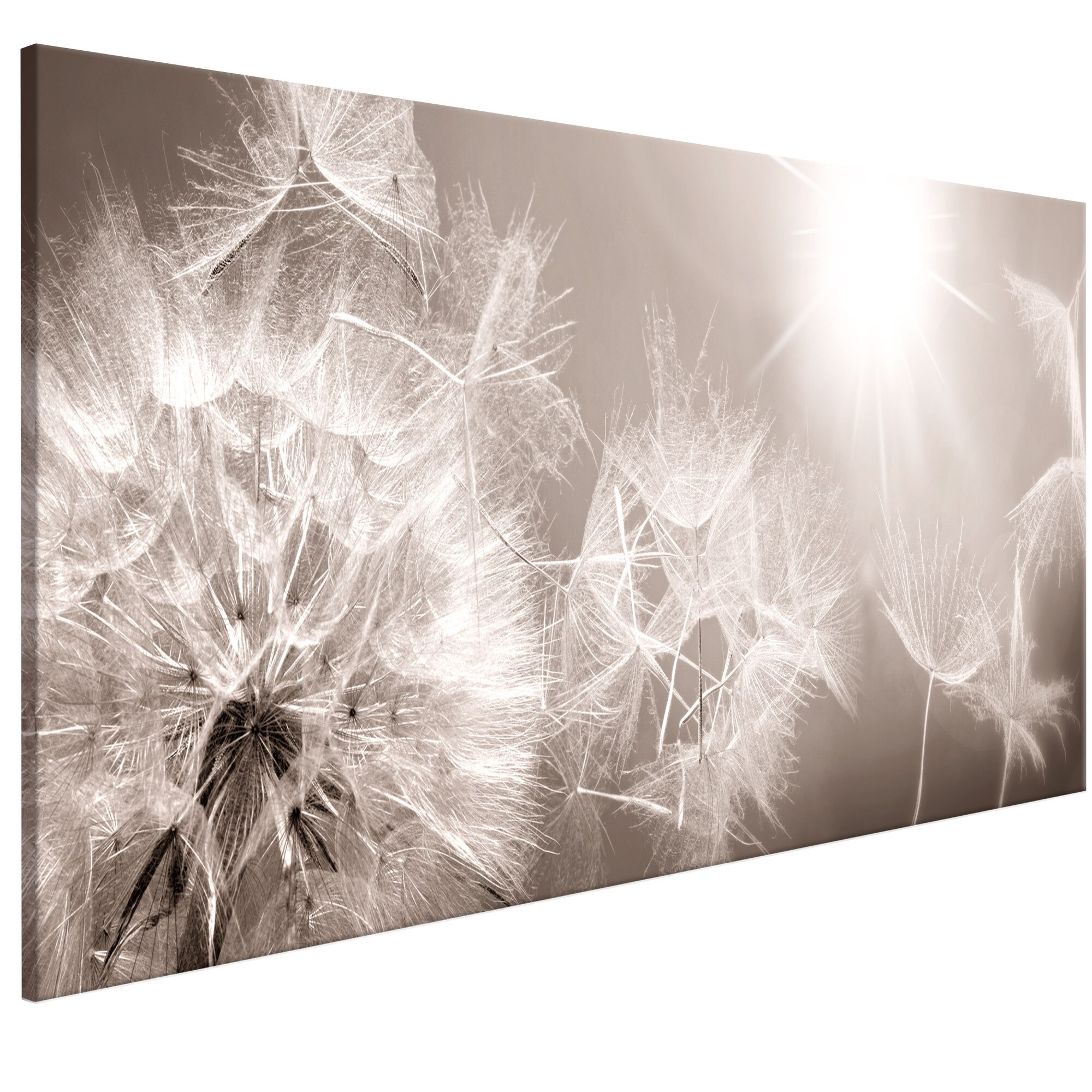 Tablou canvas - Papadia de vara - 120 x 40 cm